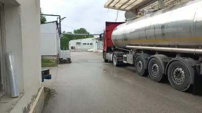 Dairy Food Bulgaria