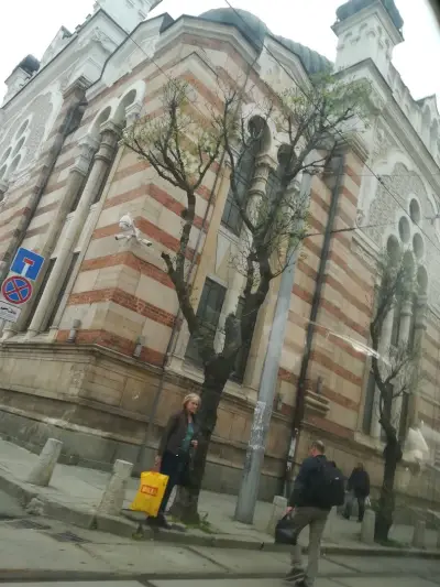 Осогово Румс