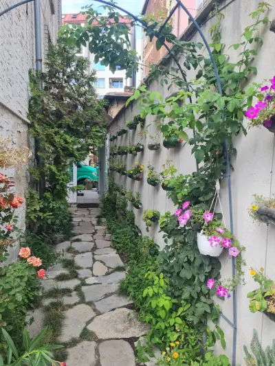 Pop Bogomil family hotel