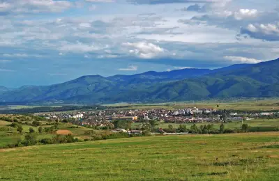 Рила пропъртис