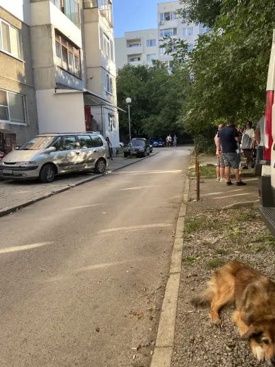 Николай Стоименов