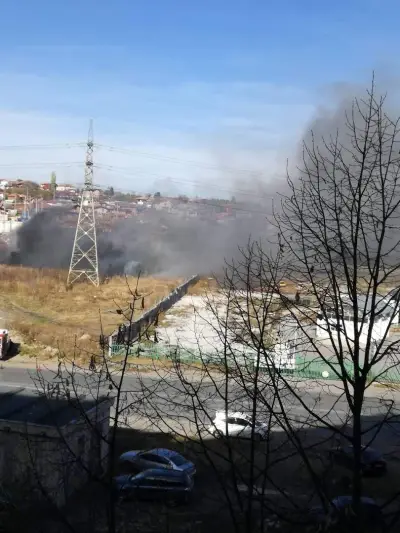 Евроколор