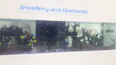 Goto Jewellery and Diamonds Paradise Center
