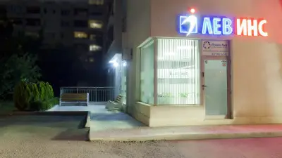 Лев Инс - Агенция Младост