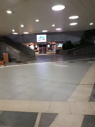 dm България