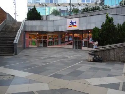 dm България