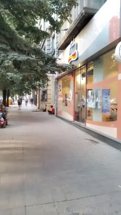 dm България