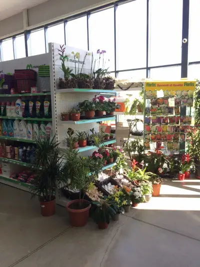 maxxmart.Витоша