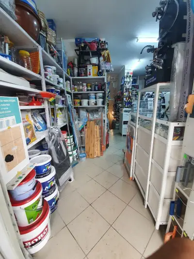 Стоичков и синове
