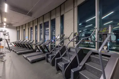 Next Level Fitness | The Mall