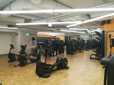 Next Level Fitness | The Mall
