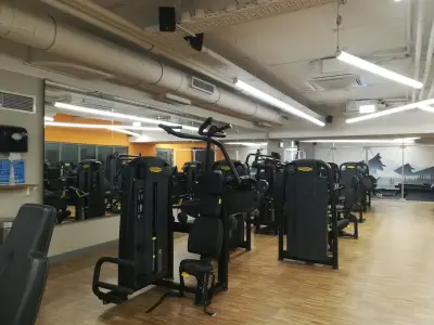 Next Level Fitness | The Mall