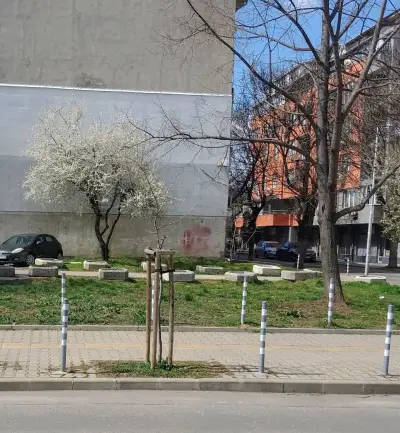 Радо джим