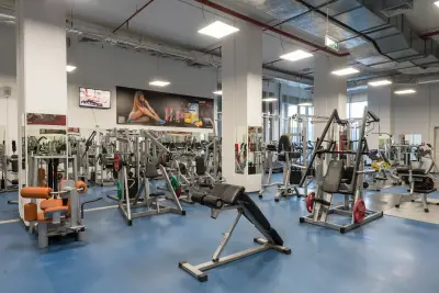 The Fitstone Fitness
