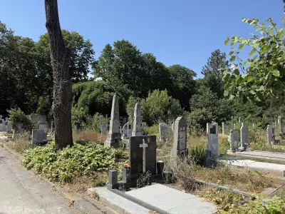 погребална агенция Йована