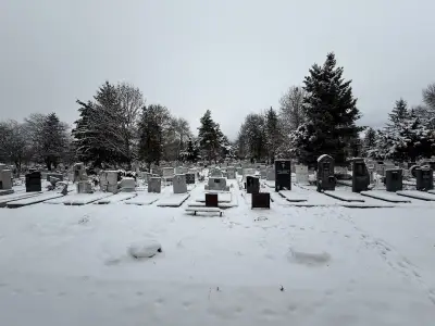 погребална агенция Йована