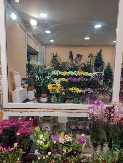 Доставка на цветя в София Fresh Flowers