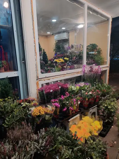 Доставка на цветя в София Fresh Flowers