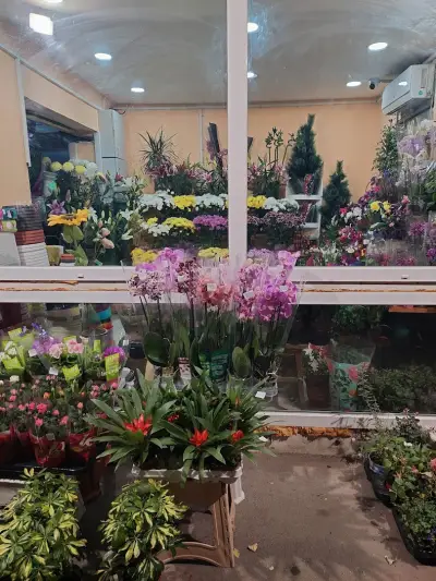 Доставка на цветя в София Fresh Flowers