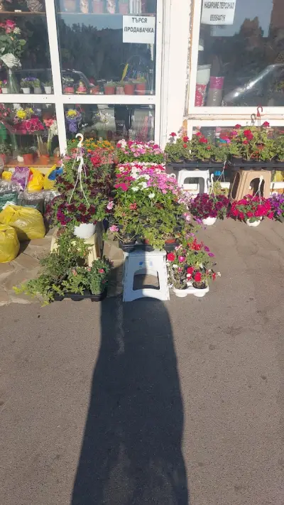 Доставка на цветя в София Fresh Flowers