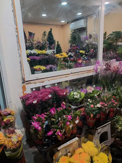Доставка на цветя в София Fresh Flowers