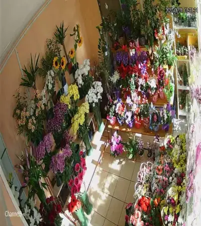 Доставка на цветя в София Fresh Flowers