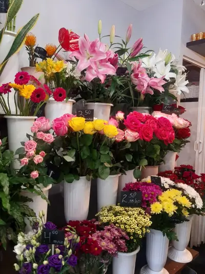 ABI Flowers