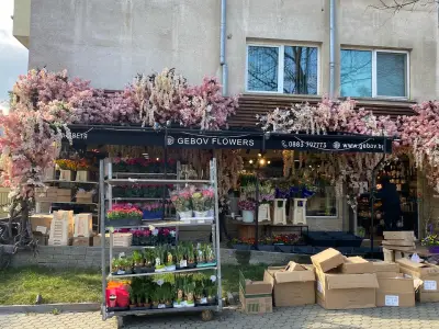 GEBOV Flowers