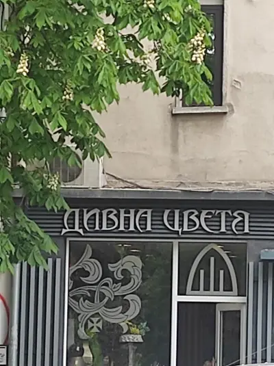 Магазинче за усмивки