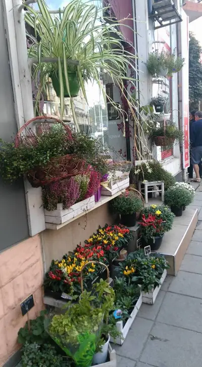 Vessi's Flowers Sofia Center