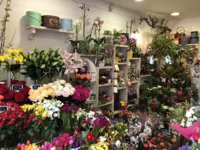 Vessi's Flowers Sofia Center