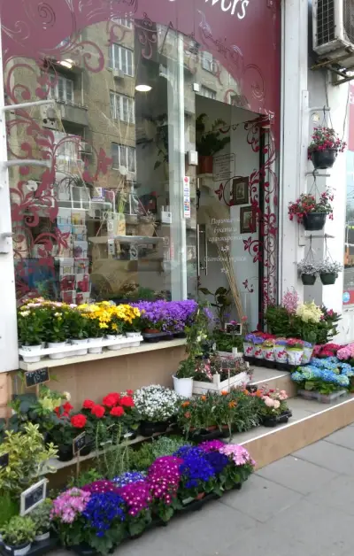 Vessi's Flowers Sofia Center