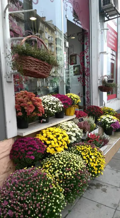 Vessi's Flowers Sofia Center