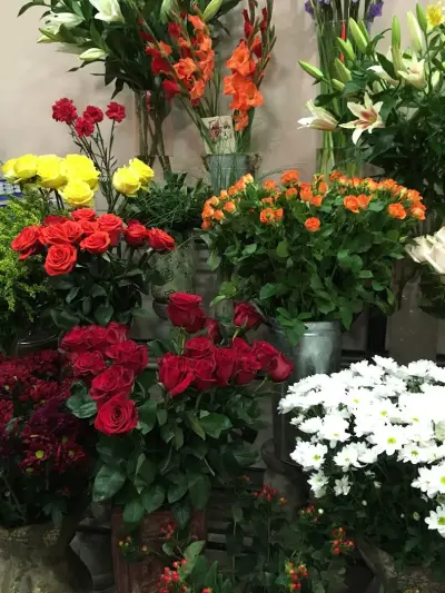 Flower Shop Rose(Цветарски магазин Роза)