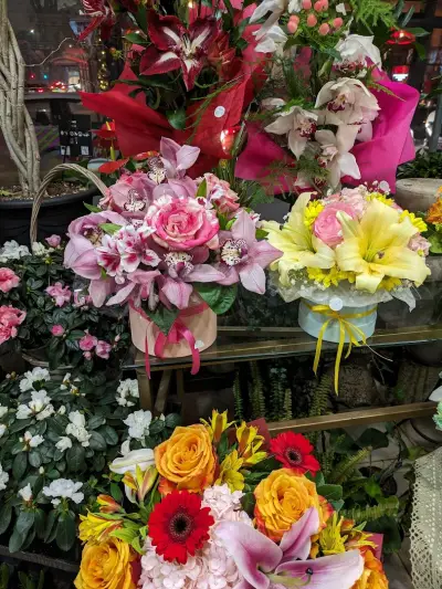 Flower Shop Rose(Цветарски магазин Роза)