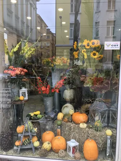 Flower Shop Rose(Цветарски магазин Роза)
