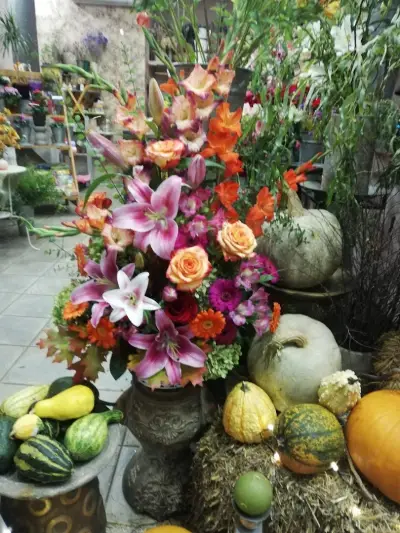 Flower Shop Rose(Цветарски магазин Роза)