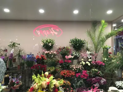 Flower Shop Rose(Цветарски магазин Роза)