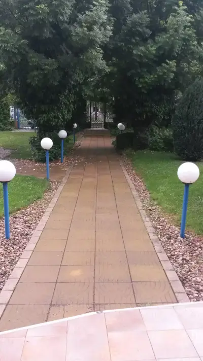Къртис/Балкан ЕООД
