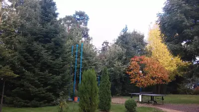 Къртис/Балкан ЕООД
