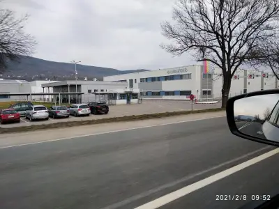 Хамбергер