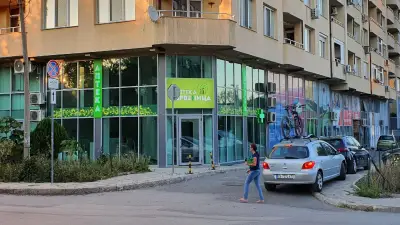 Аптека Дървеница