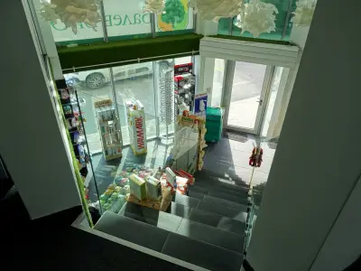 Аптека Дървеница