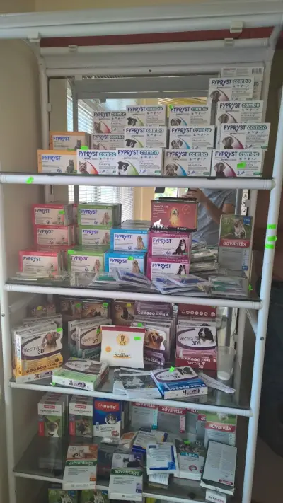 Zoovet 2010
