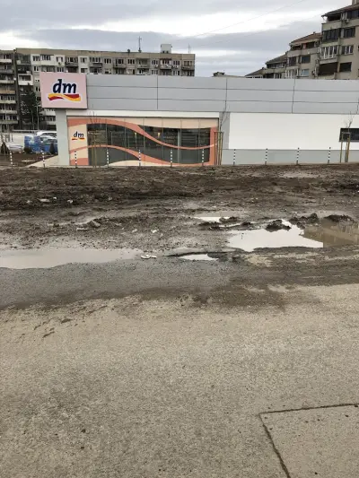 dm България