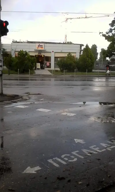 dm България