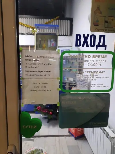 Ремедиа