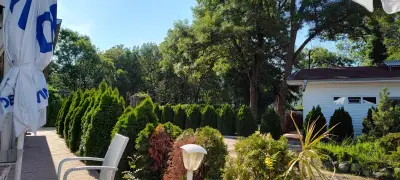 Виа тенис стар