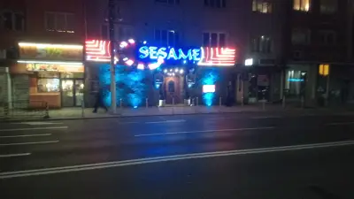 SESAME Pette Kyosheta Sofia