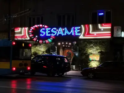 SESAME Pette Kyosheta Sofia